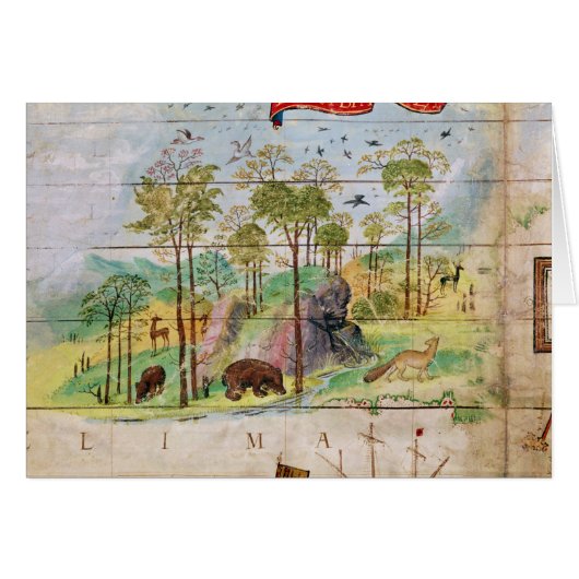 The Canadian Forest Cards (Front Horizontal)