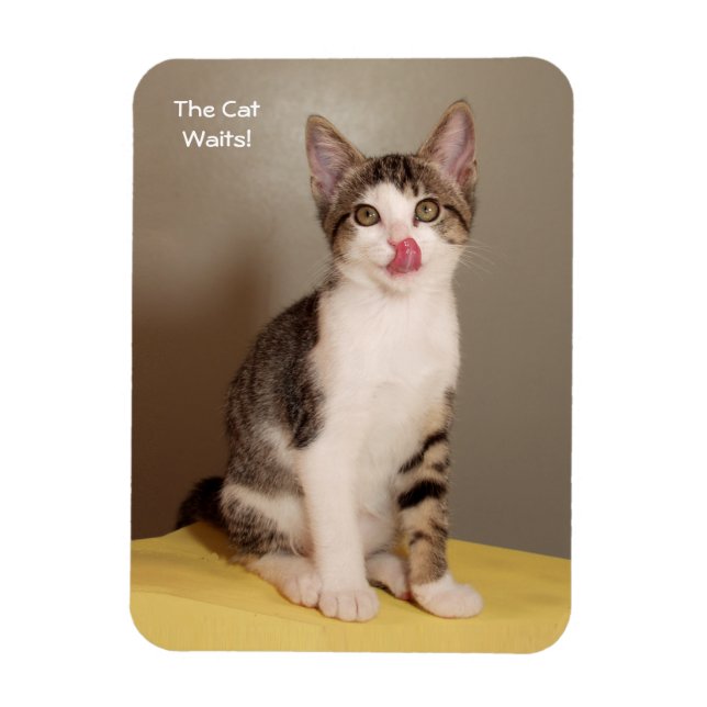 The Can's Open Humorous Tabby Cat Magnet (Vertical)