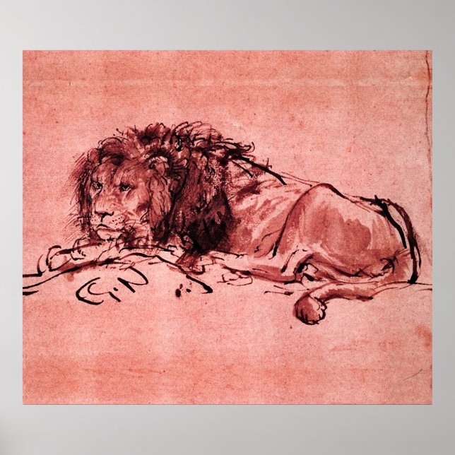 THE CAPE LION LYING DOWN, by Rembrandt Pink Black Poster (Front)
