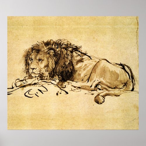 THE CAPE LION LYING DOWN by Rembrandt SepiaBlack Poster