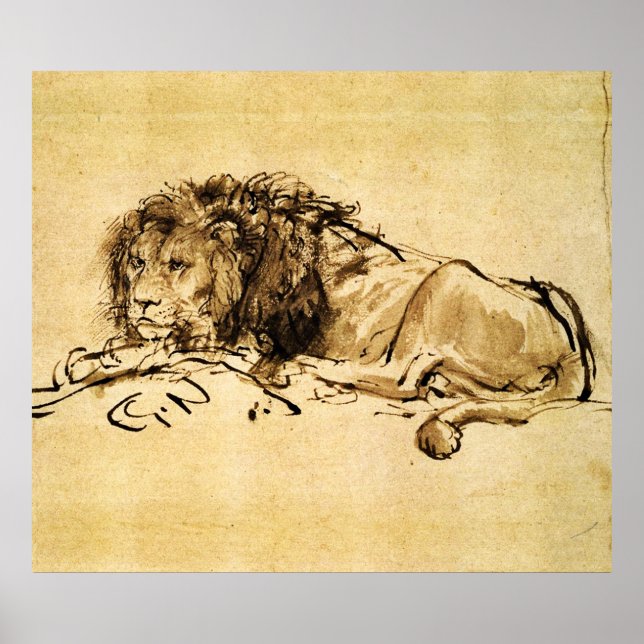 THE CAPE LION LYING DOWN, by Rembrandt Sepia,Black Poster (Front)