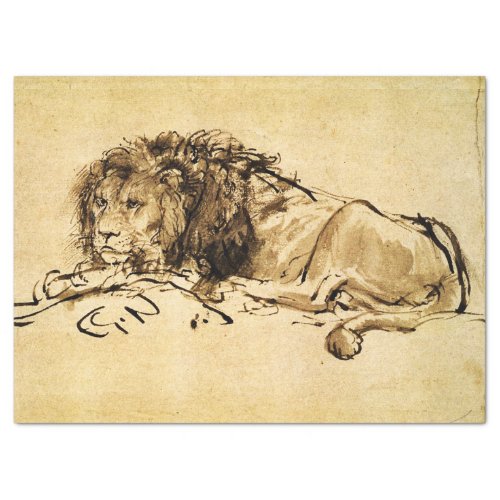 THE CAPE LION LYING DOWN by Rembrandt SepiaBlack Tissue Paper