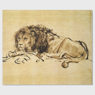 THE CAPE LION LYING DOWN, by Rembrandt Sepia,Black Wrapping Paper