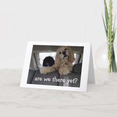 THE CAR_DOGS WANT TO CELEBRATE YOUR BIRTHDAY CARD