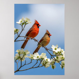 The Cardinal Courtship: Dogwood Dreamscape Poster