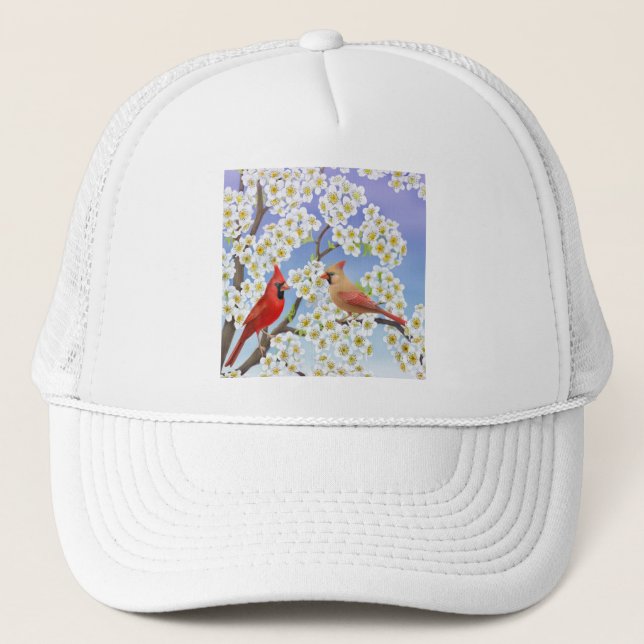The Cardinals Mesh Hat (Front)