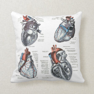 the Cardiologist's Pillow