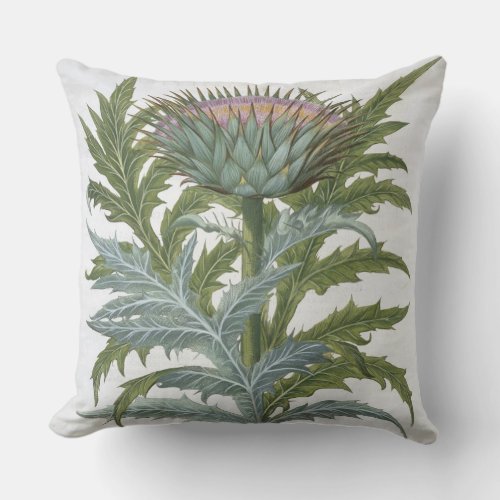 The Cardoon from the Hortus Eystettensis by Bas Throw Pillow