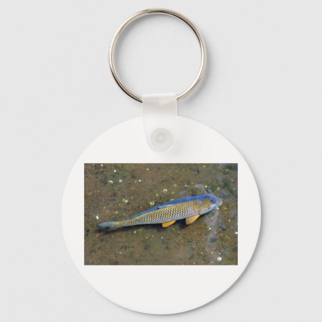 The Carp Keychain (Front)
