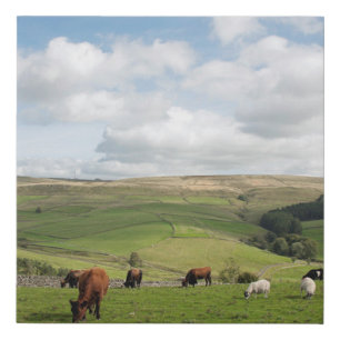 The Cat and Fiddle Inn Postcard Cushion Poster Faux Canvas Print