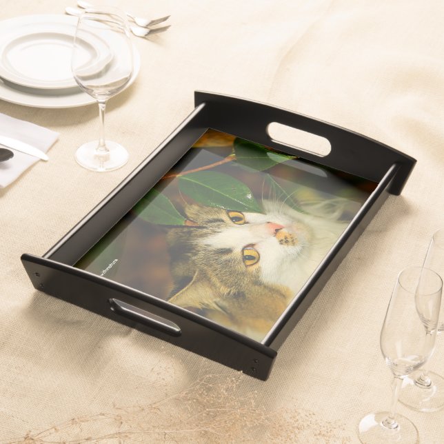 The Cat and the Camellia Serving Tray (Front)