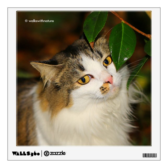 The Cat and the Camellia Wall Sticker (Front)