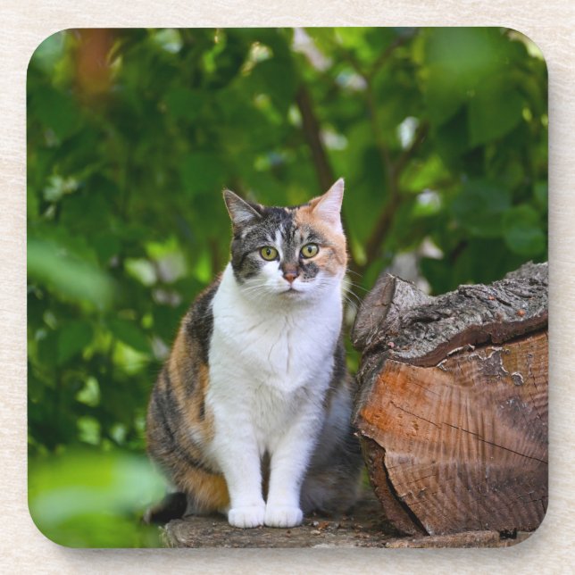 The Cat    Beverage Coaster (Front)