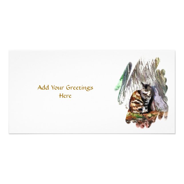 THE CAT CARD (Front)