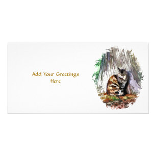 THE CAT CARD