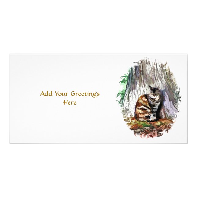 THE CAT CARD (Front)