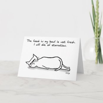 The Cat Demands Fresh Food - Funny Cat Card by FunkyChicDesigns at Zazzle