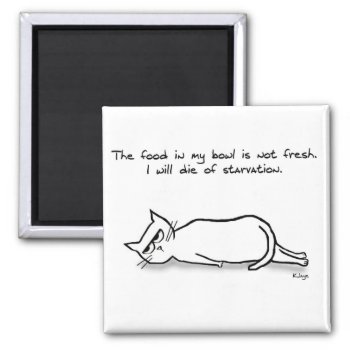 The Cat Demands Fresh Food - Funny Cat Magnet by FunkyChicDesigns at Zazzle