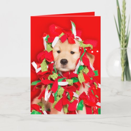 The cat did it Golden Retriever puppy Holiday Card