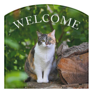 The Cat     Door Sign