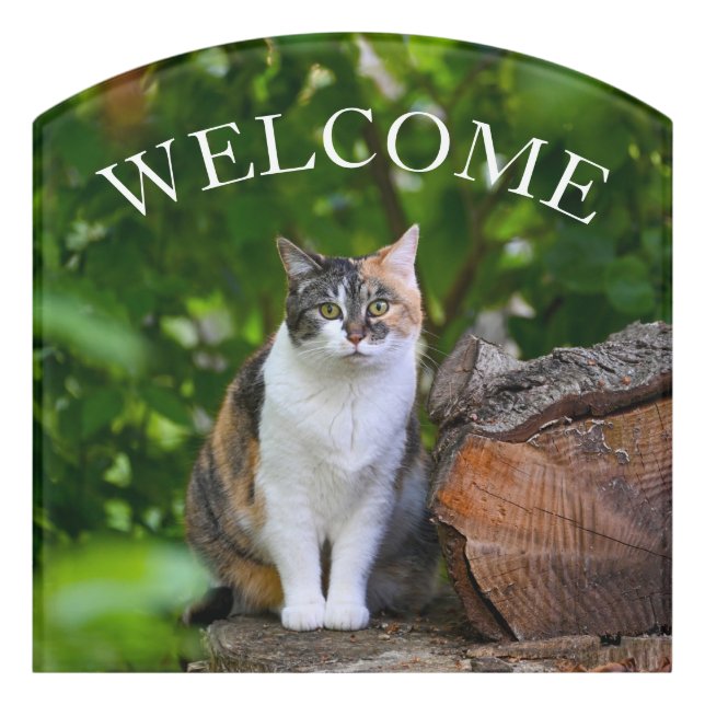 The Cat     Door Sign (Contour Front)
