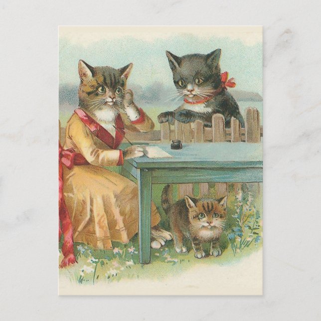 "The Cat Family" Vintage Postcard (Front)