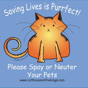 Cat House On The Kings Spay And Neuter Petfinder