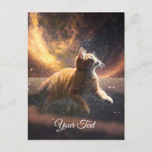 The cat is playing with the stars  postcard