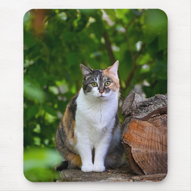 The Cat     Mouse Pad (Front)