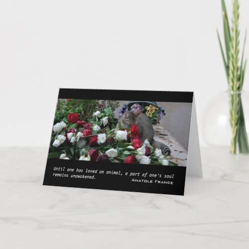 The Cat of Pere lachaise Cat Sympathy Card