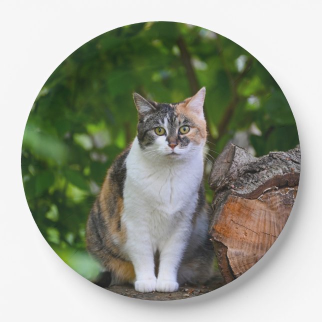 The Cat      Paper Plates (Front)