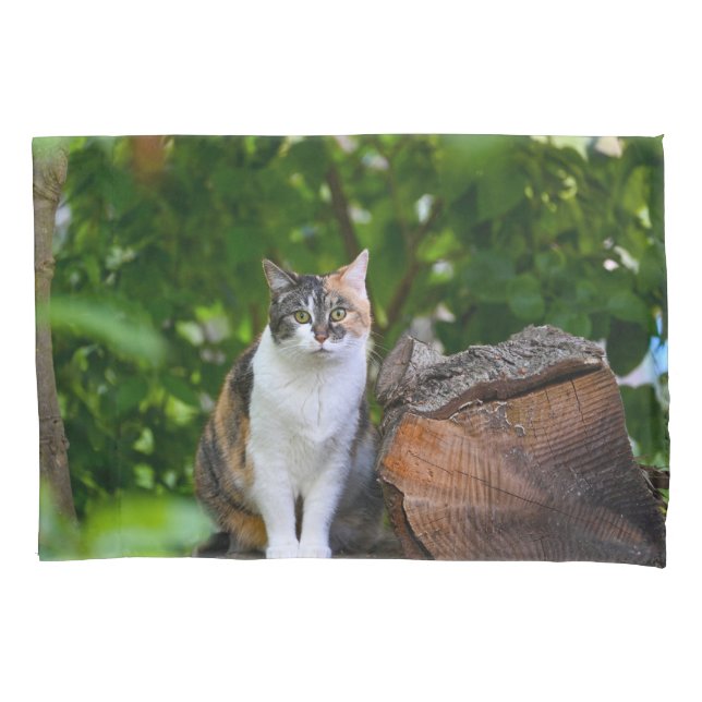 The Cat   Pillow Case (Front)