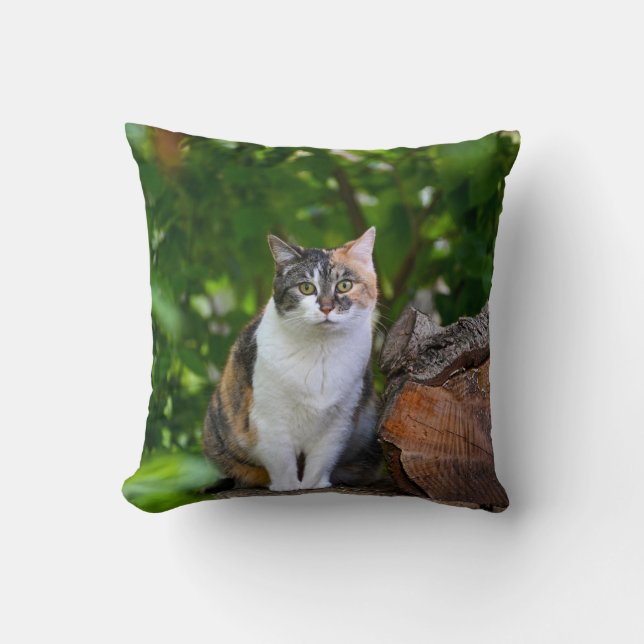 The Cat   Pillow Case (Front)