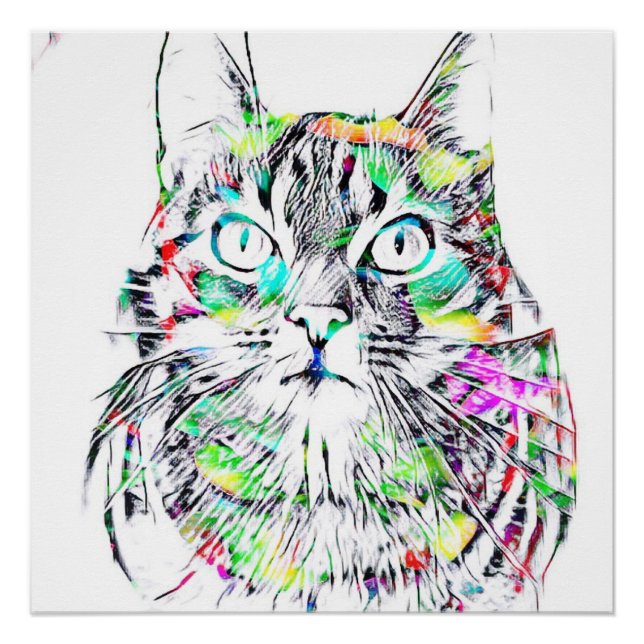 The CAT Poster (Front)