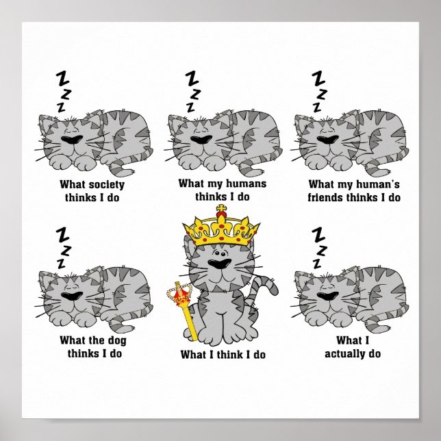 The Cat Poster (Front)