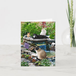 "The Cat Spa" Note Card