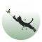 The Cat & The Butterfly