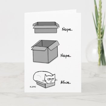 The Cat Totally Fits In This Box - Funny Cat Car Card by FunkyChicDesigns at Zazzle