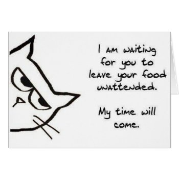 The Cat Waits To Steal Your Food - Funny Cat Card by FunkyChicDesigns at Zazzle
