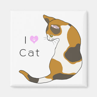 The cat which turns around (tortoise-shell cat) magnet