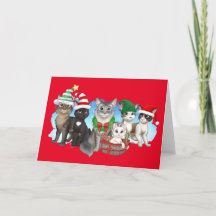 The Cats and Crew Christmas Card 5" x 7"
