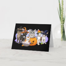 The Cats and Crew Halloween Card 5" x 7"