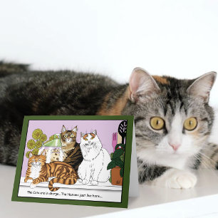 The Cats are in Charge Card