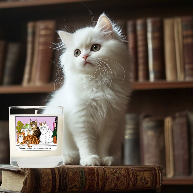 The Cats are in Charge Scented Candle (Creator Uploaded)