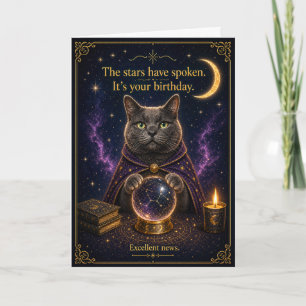 The Cat's Crystal Ball Birthday Reading Card