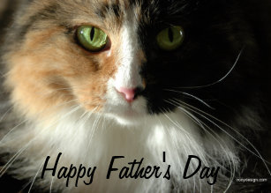 the_cats_eyes_cards_happy_fathers_day-ra