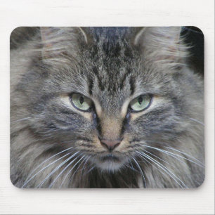 The Cats Eyes Have It Mouse Pad