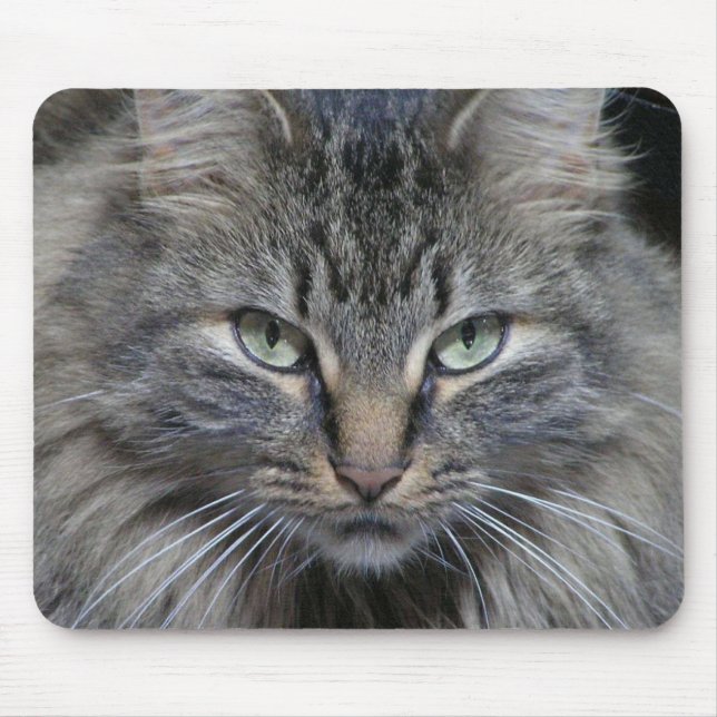 The Cats Eyes Have It Mouse Pad (Front)