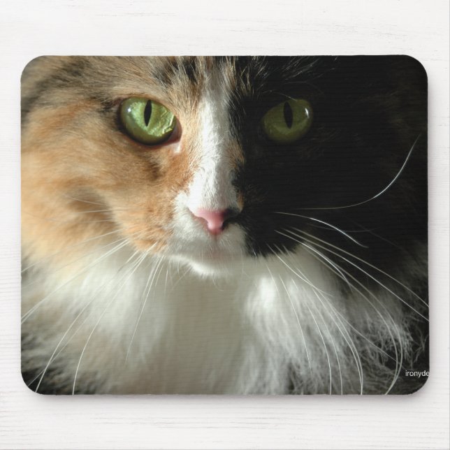 The Cat's Eyes Mousepad (Front)
