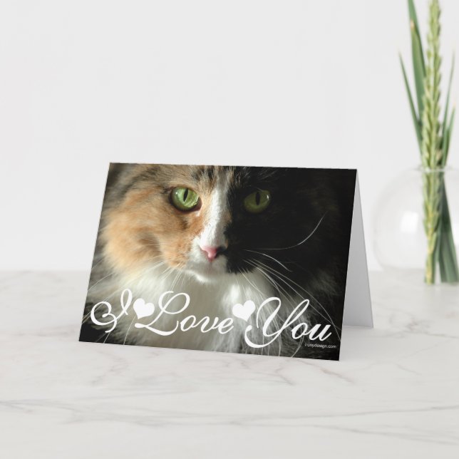 The Cat's Eyes Photo Image I Love You Card (Front)